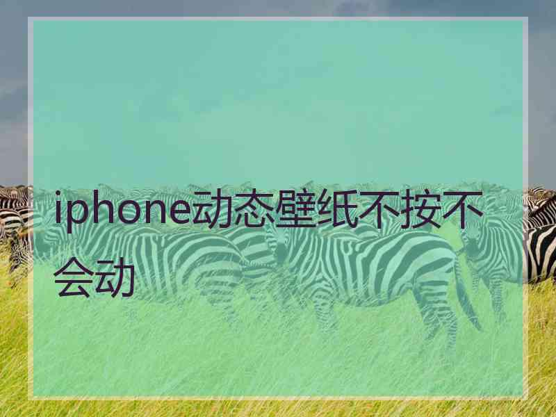 iphone动态壁纸不按不会动