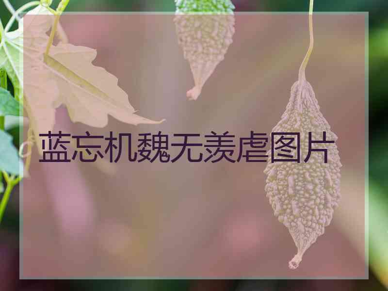 蓝忘机魏无羡虐图片