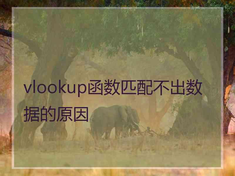 vlookup函数匹配不出数据的原因