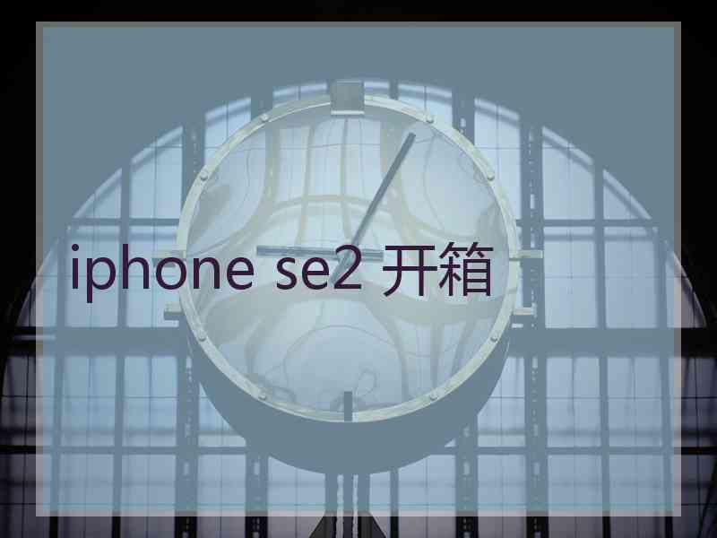 iphone se2 开箱