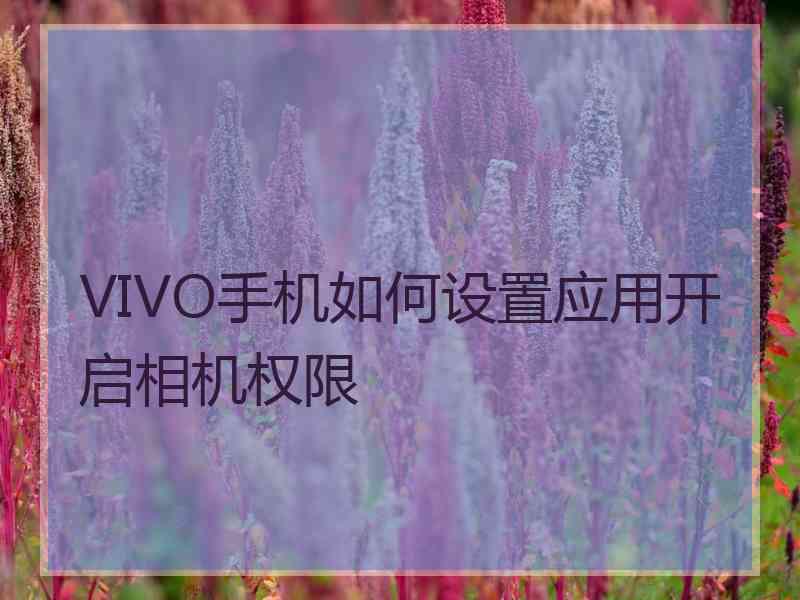 VIVO手机如何设置应用开启相机权限