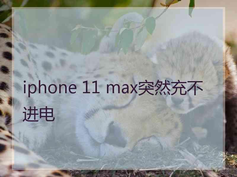 iphone 11 max突然充不进电