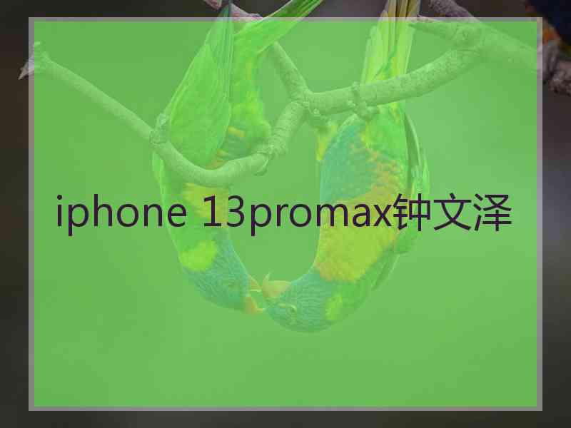 iphone 13promax钟文泽