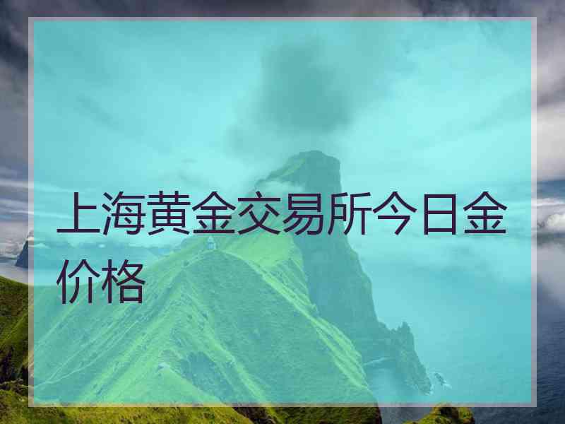 上海黄金交易所今日金价格