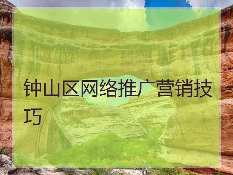 钟山区网络推广营销技巧