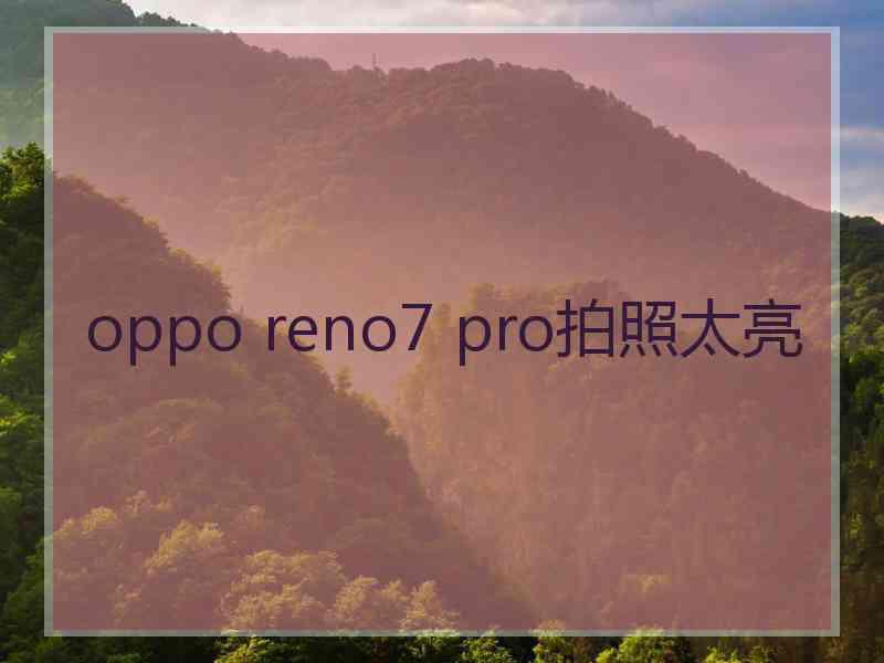 oppo reno7 pro拍照太亮