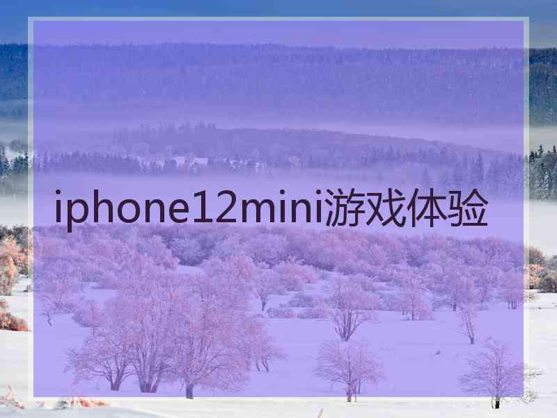 iphone12mini游戏体验