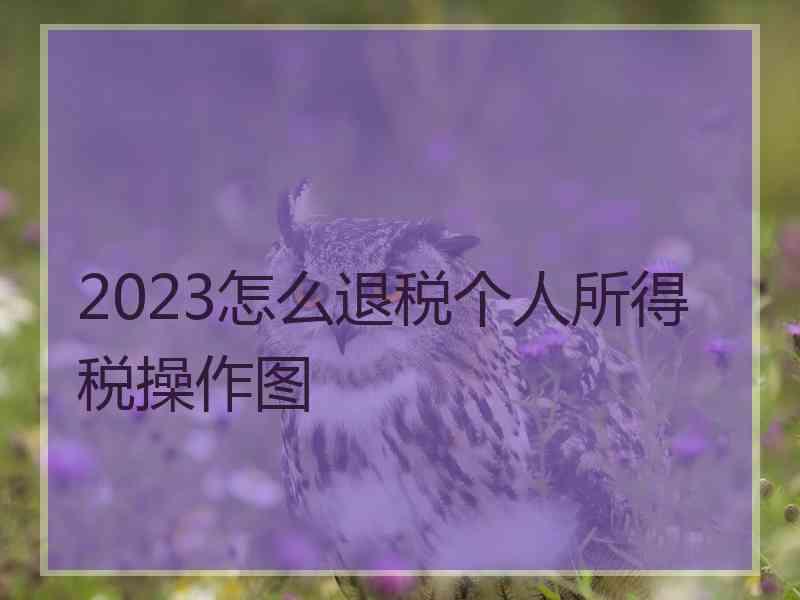 2023怎么退税个人所得税操作图