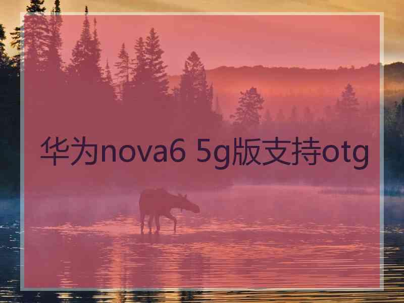 华为nova6 5g版支持otg