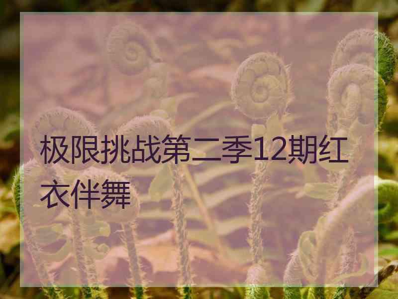 极限挑战第二季12期红衣伴舞