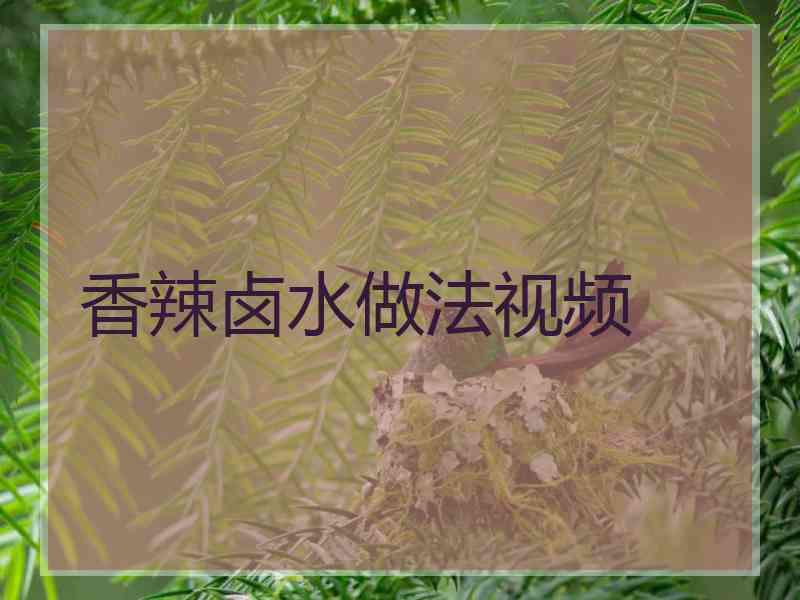 香辣卤水做法视频