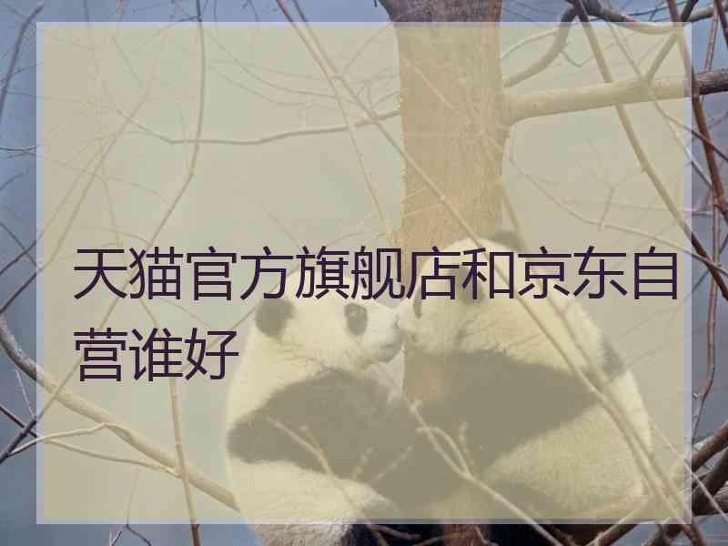 天猫官方旗舰店和京东自营谁好