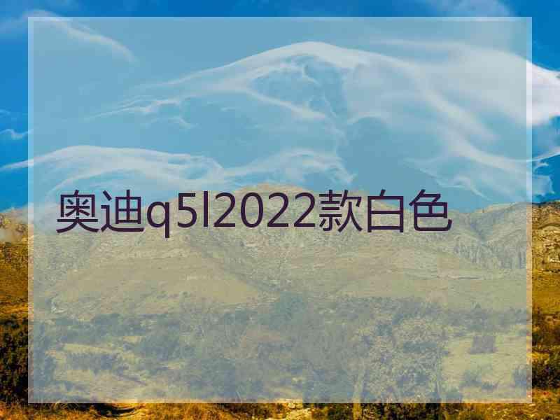 奥迪q5l2022款白色