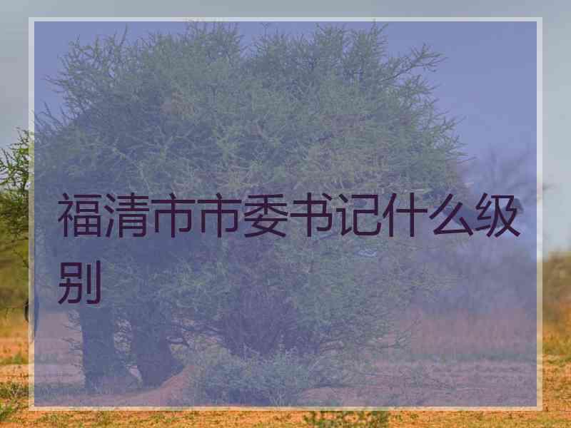 福清市市委书记什么级别