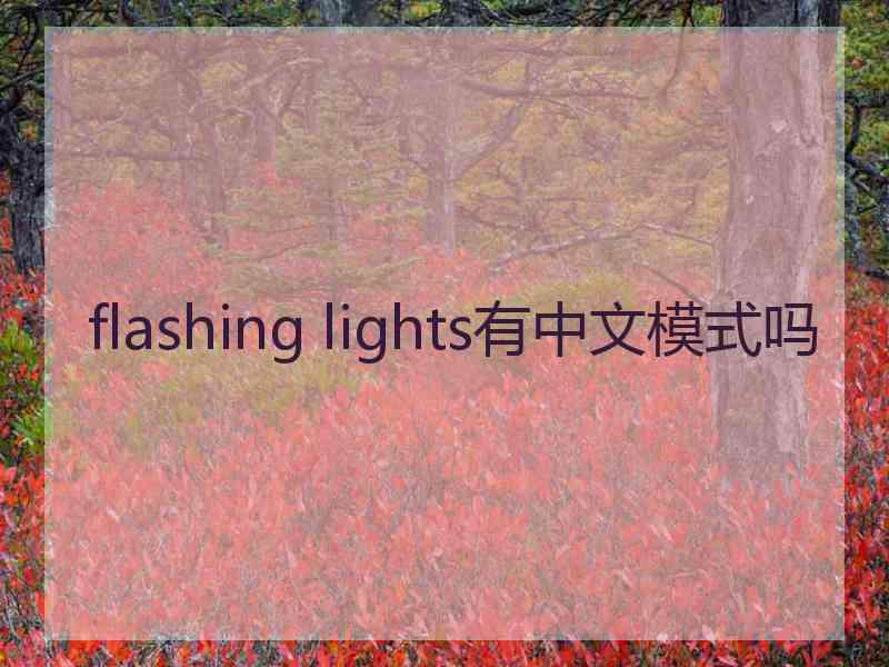 flashing lights有中文模式吗