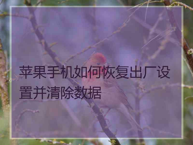 苹果手机如何恢复出厂设置并清除数据