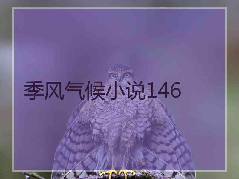 季风气候小说146