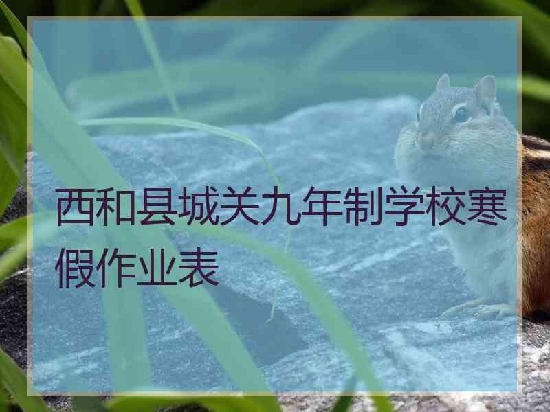 西和县城关九年制学校寒假作业表