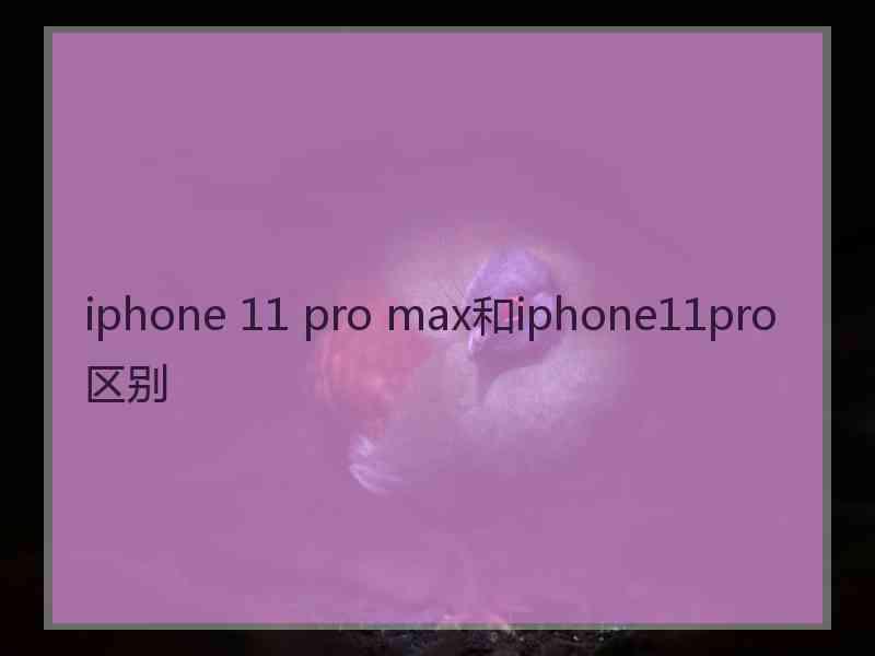 iphone 11 pro max和iphone11pro区别