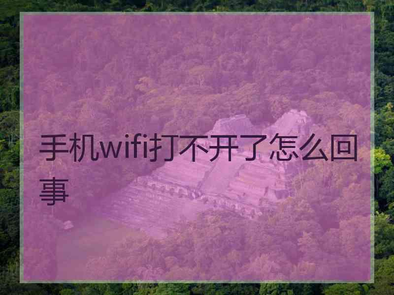 手机wifi打不开了怎么回事