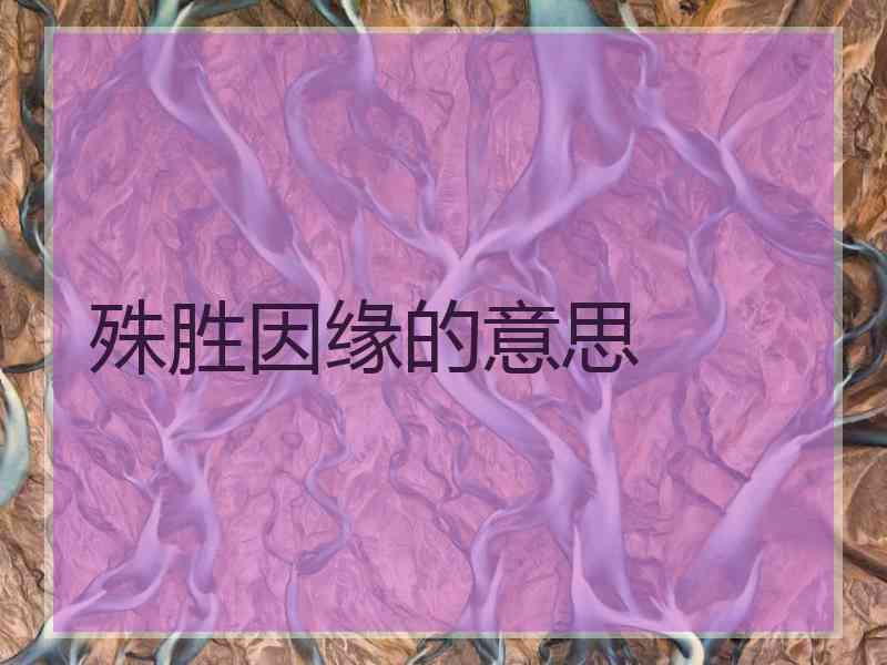 殊胜因缘的意思