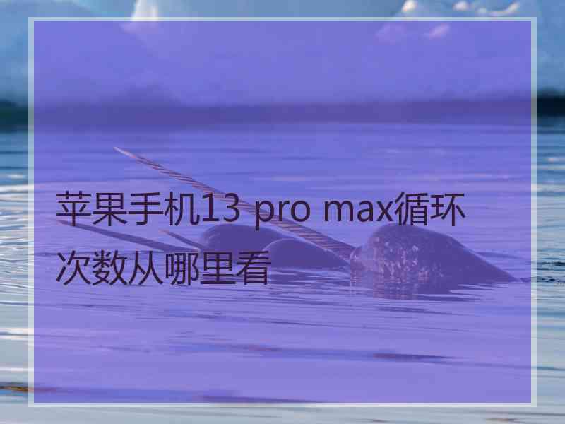 苹果手机13 pro max循环次数从哪里看