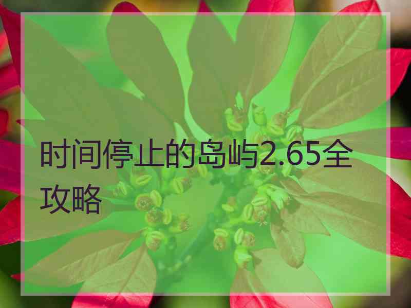 时间停止的岛屿2.65全攻略