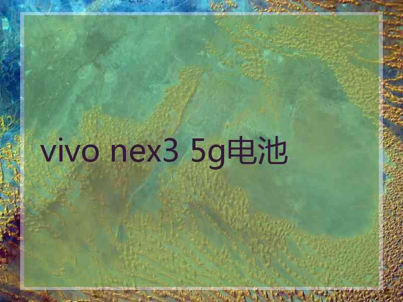 vivo nex3 5g电池