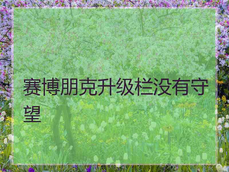 赛博朋克升级栏没有守望