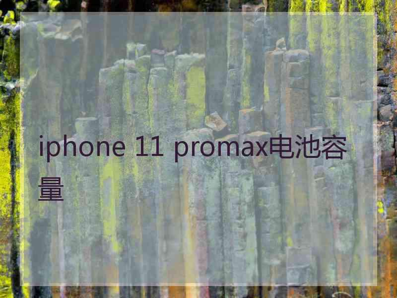 iphone 11 promax电池容量