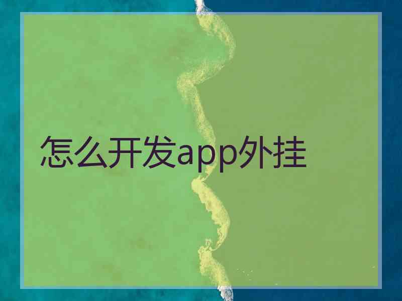 怎么开发app外挂