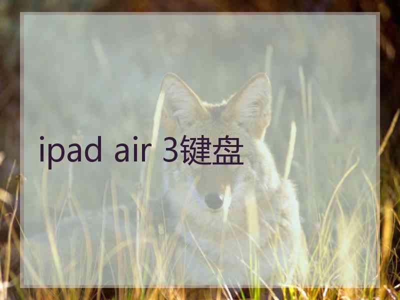 ipad air 3键盘