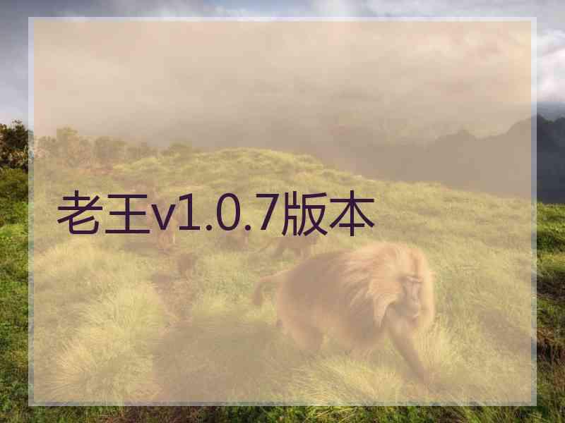 老王v1.0.7版本