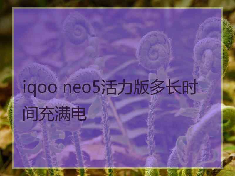 iqoo neo5活力版多长时间充满电