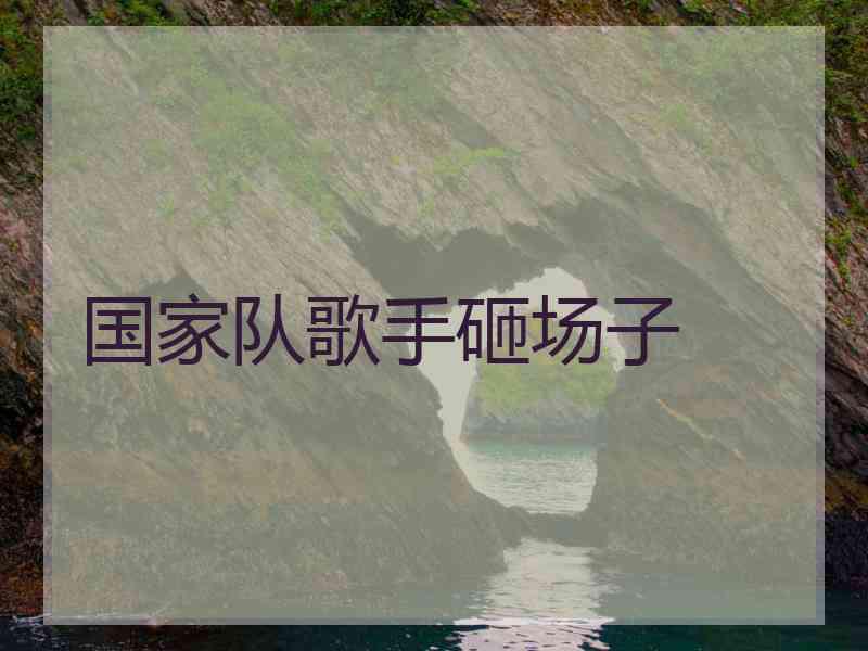 国家队歌手砸场子