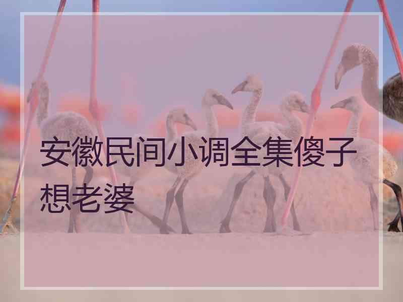 安徽民间小调全集傻子想老婆