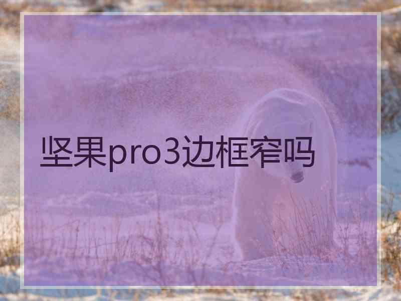 坚果pro3边框窄吗