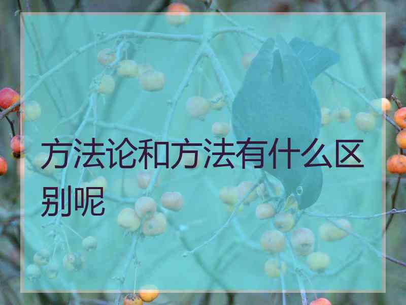 方法论和方法有什么区别呢