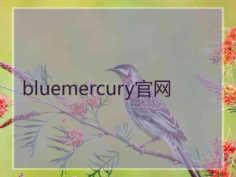 bluemercury官网