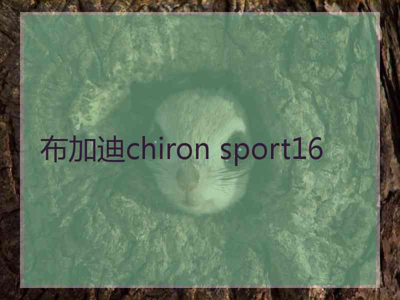 布加迪chiron sport16