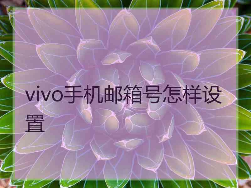 vivo手机邮箱号怎样设置