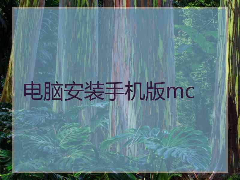 电脑安装手机版mc