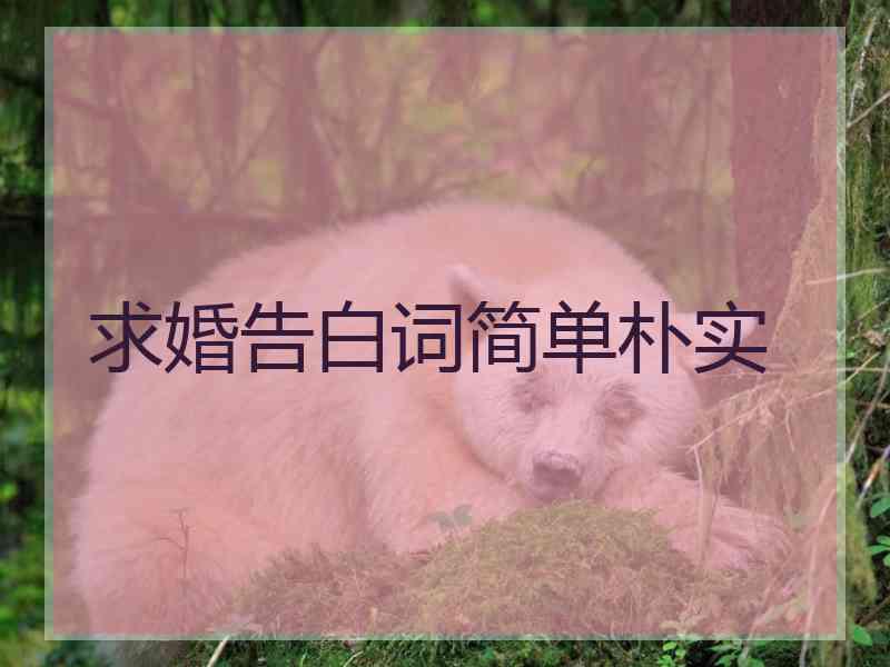 求婚告白词简单朴实