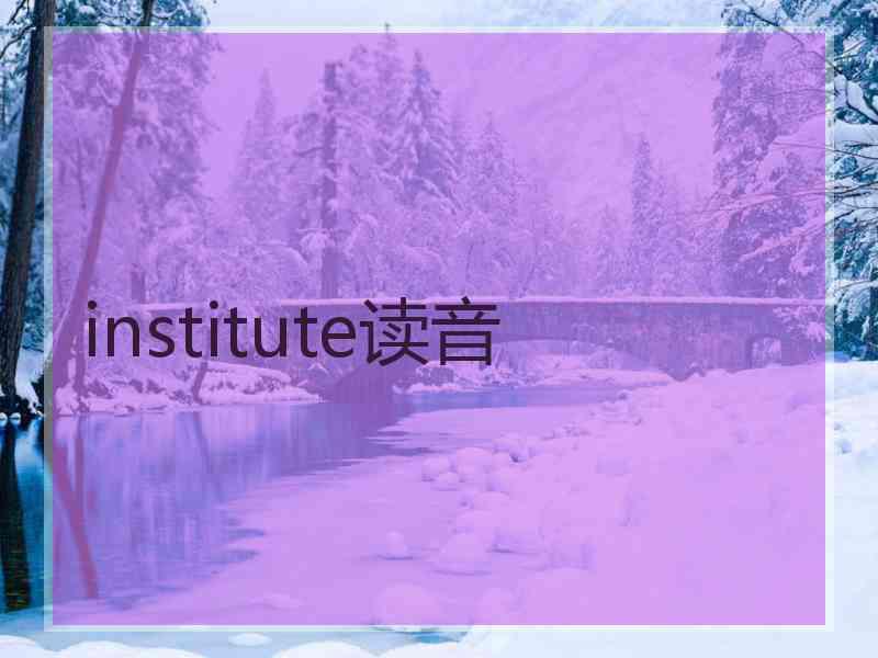 institute读音