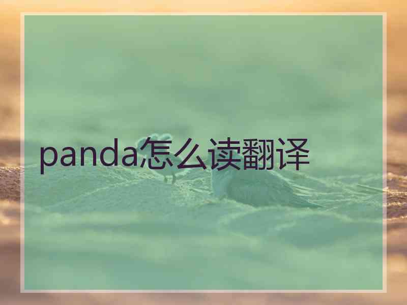 panda怎么读翻译