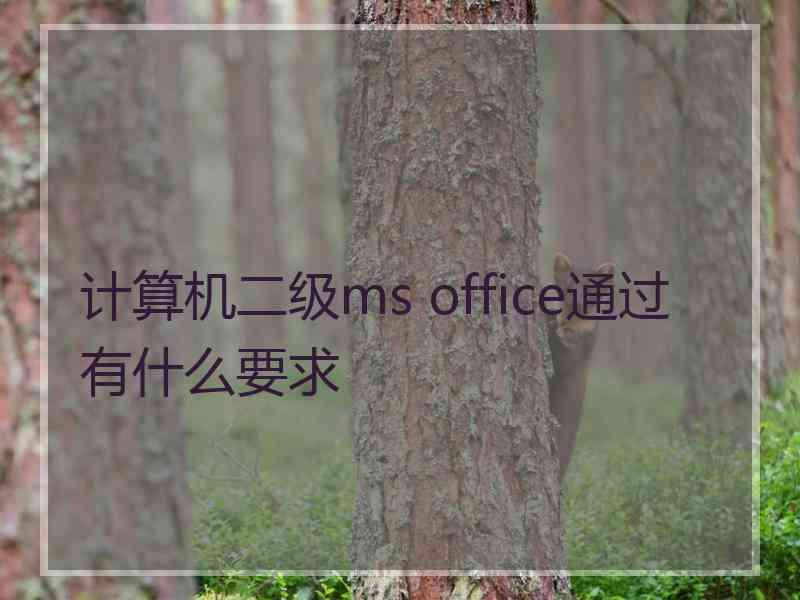 计算机二级ms office通过有什么要求