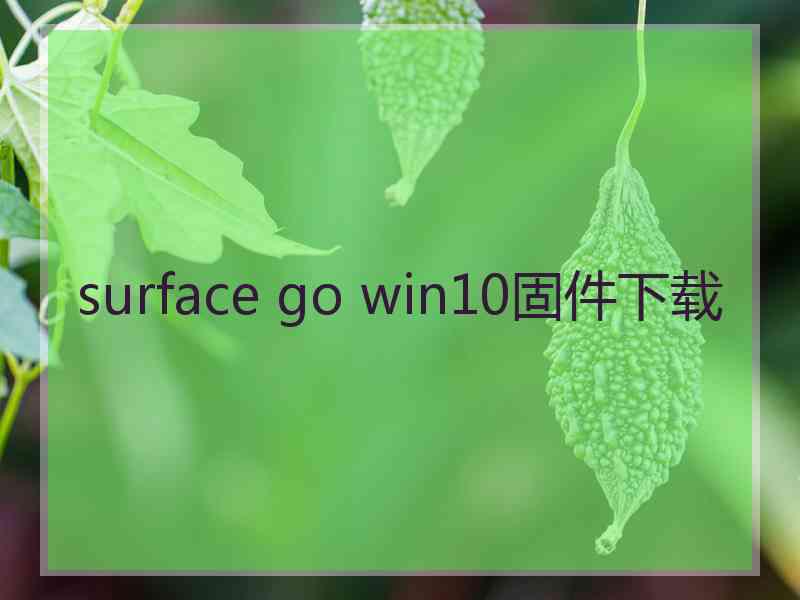 surface go win10固件下载