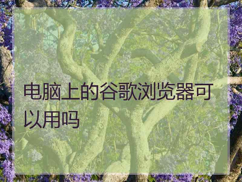 电脑上的谷歌浏览器可以用吗