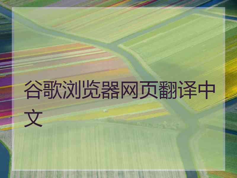 谷歌浏览器网页翻译中文