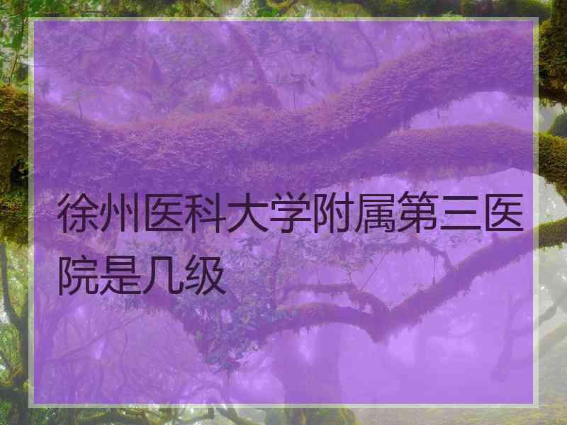 徐州医科大学附属第三医院是几级